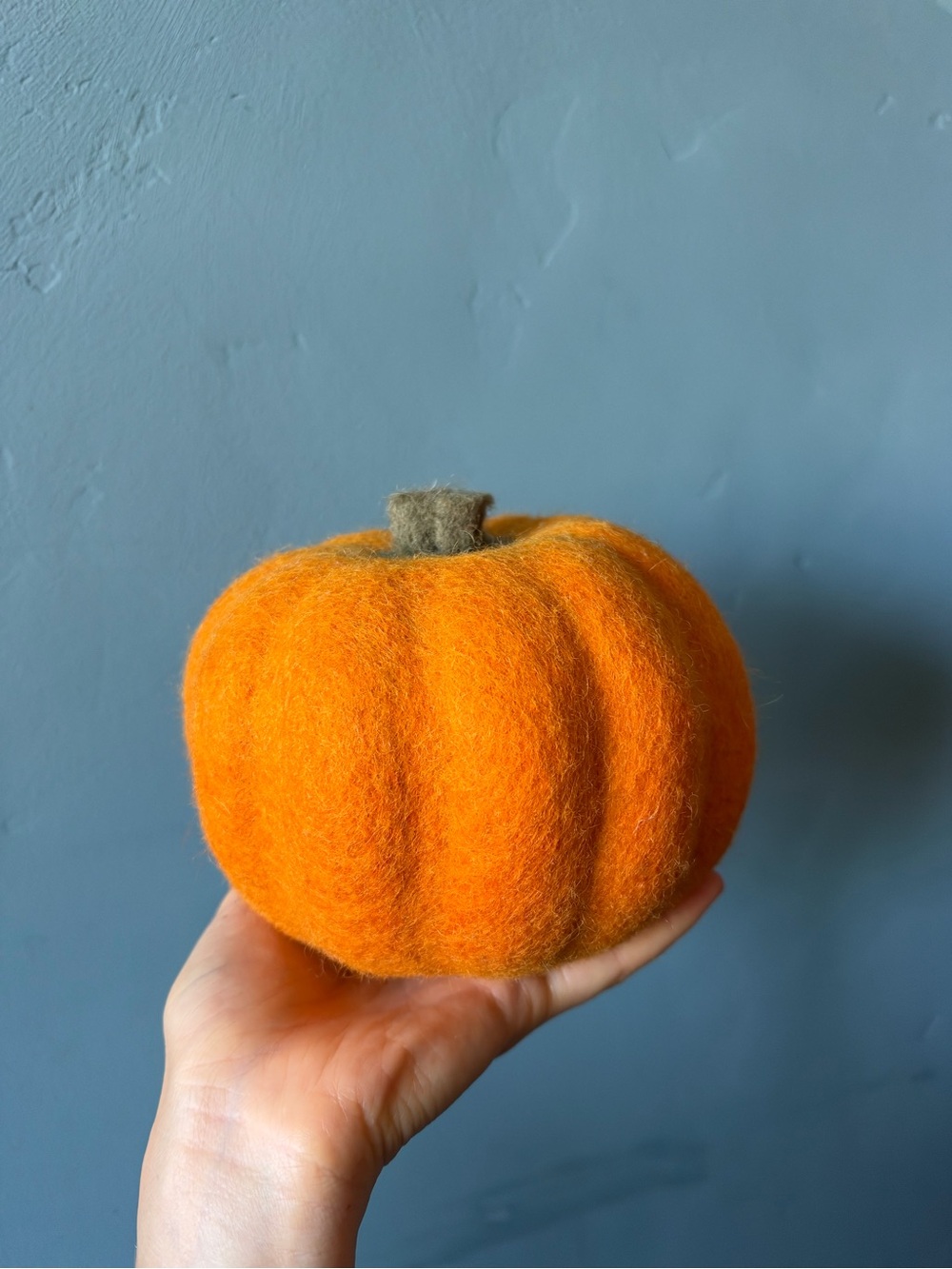Trader Joe’s felt pumpkin